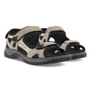Pair of beige and black sandals on a white background
