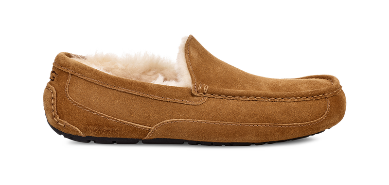 UGG Ascot Slipper Men's 2