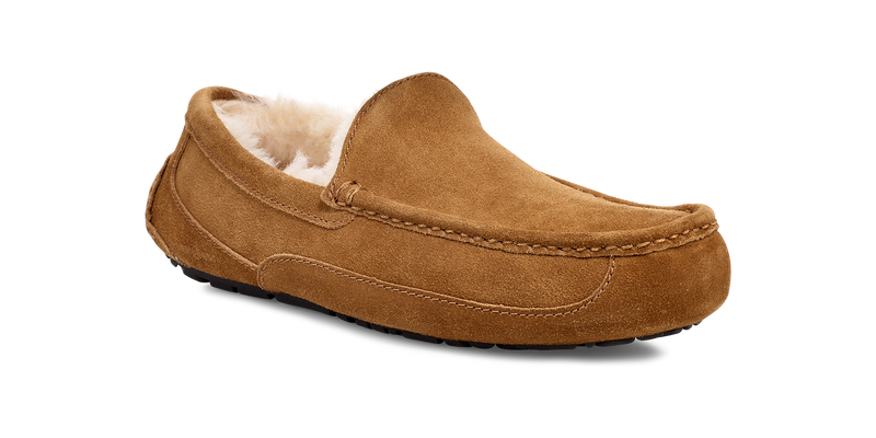 UGG Ascot Slipper Men's 1