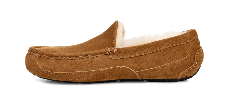 UGG Ascot Slipper Men's 6
