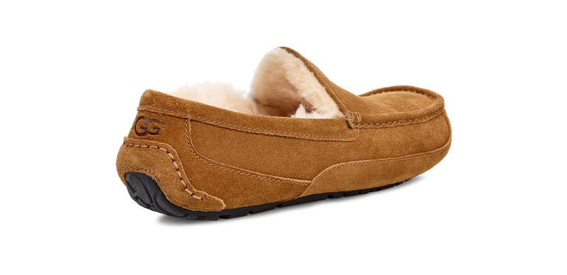 UGG Ascot Slipper Men's 5