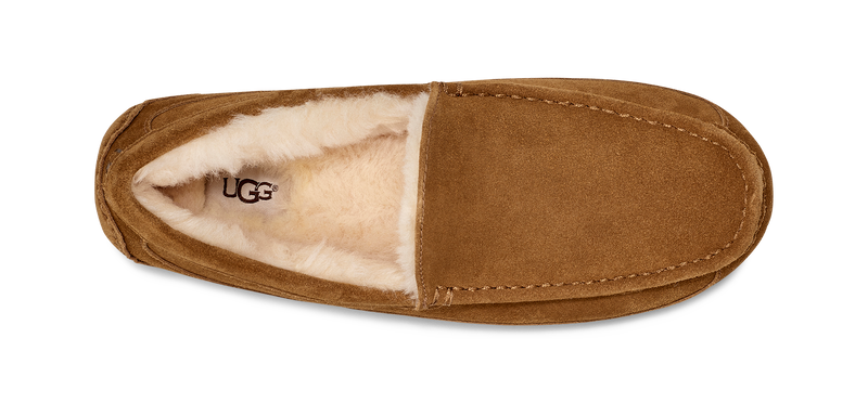 UGG Ascot Slipper Men's 4