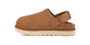 UGG Goldenstar Clog Chestnut Women's 7
